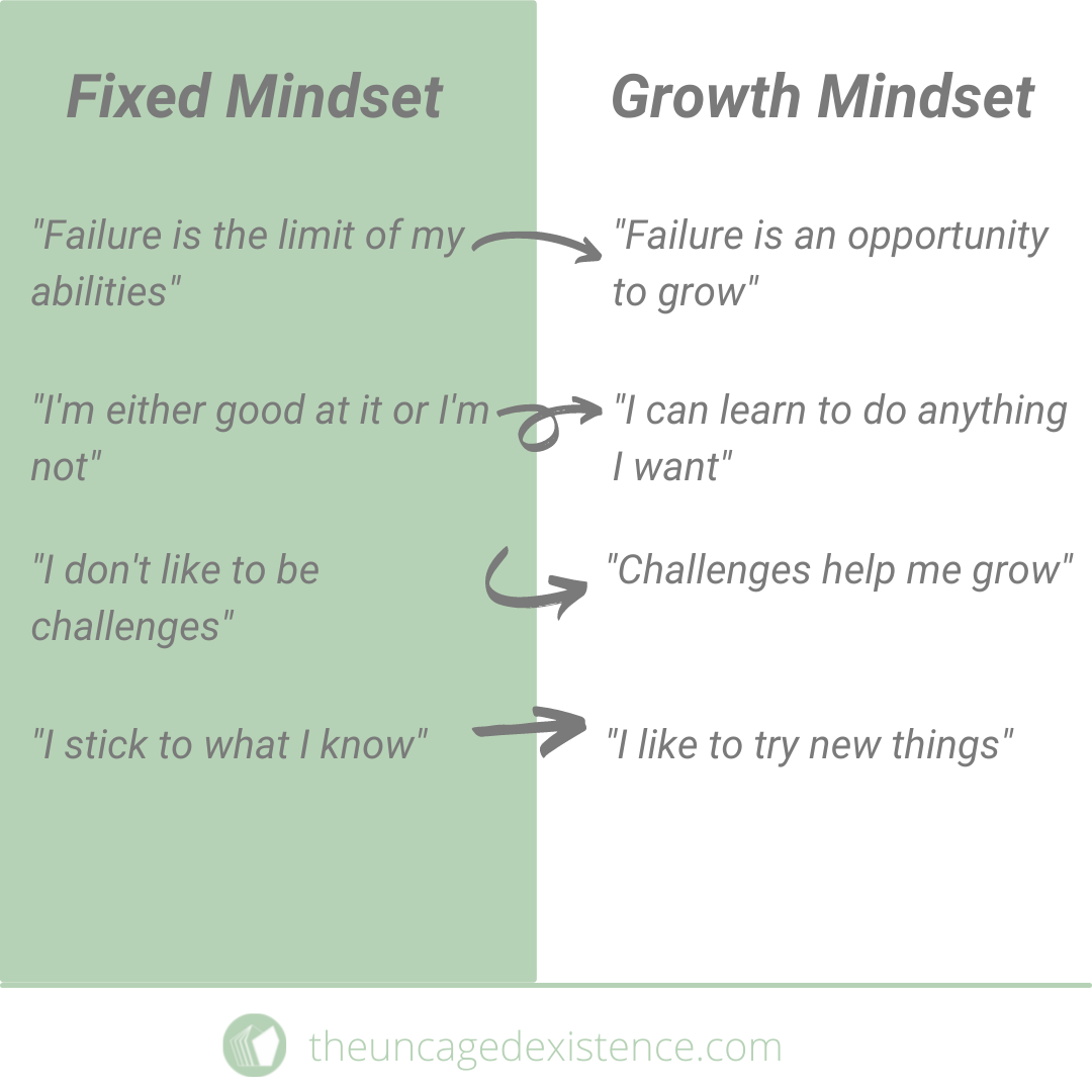 The difference between a growth mindset and a fixed mindset – The ...